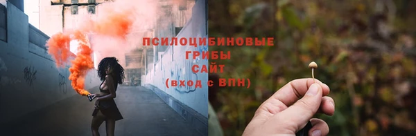 амф Абаза